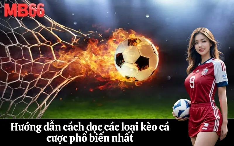 Hướng dẫn cách đọc các loại kèo cá cược phổ biến nhất