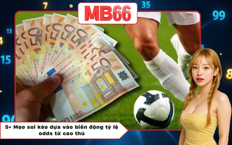 5+ Mẹo soi kèo dựa vào biến động tỷ lệ odds từ cao thủ